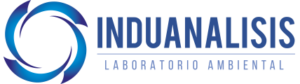 Induanalisis